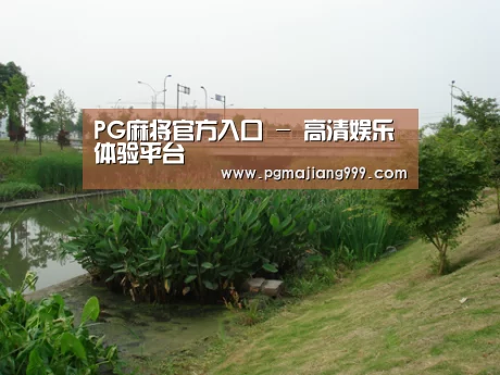 案例展示四(图1)