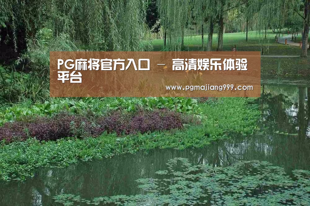 案例展示一