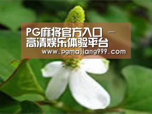 产品名称三