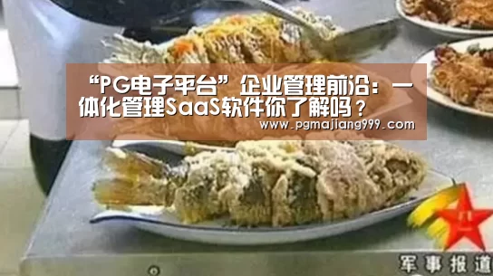 PG麻将登录入口