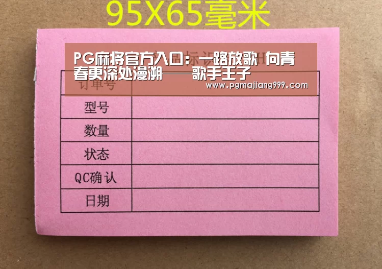 PG麻将官方入口：一路放歌 向青春更深处漫溯——歌手王子