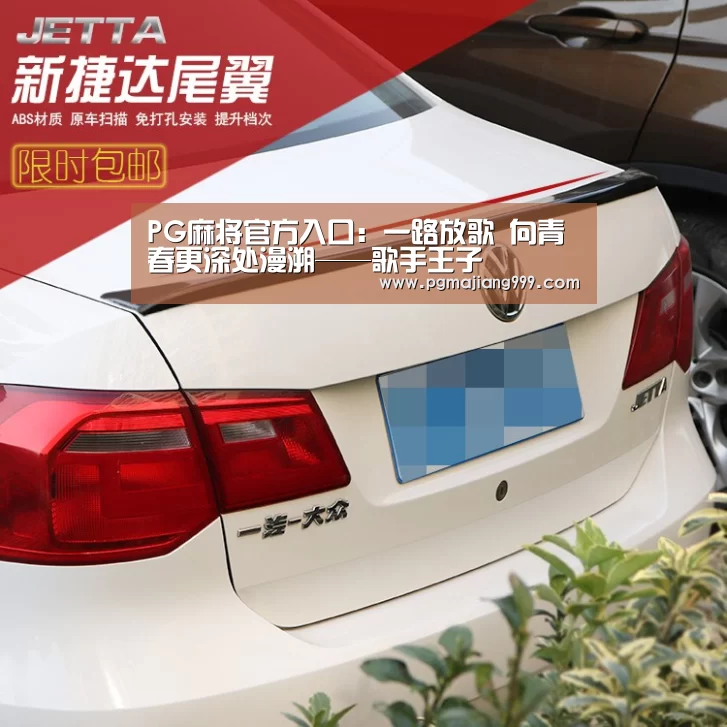 PG麻将官方入口:一路放歌 向青春更深处漫溯——歌手王子(图2) PG麻将官方入口